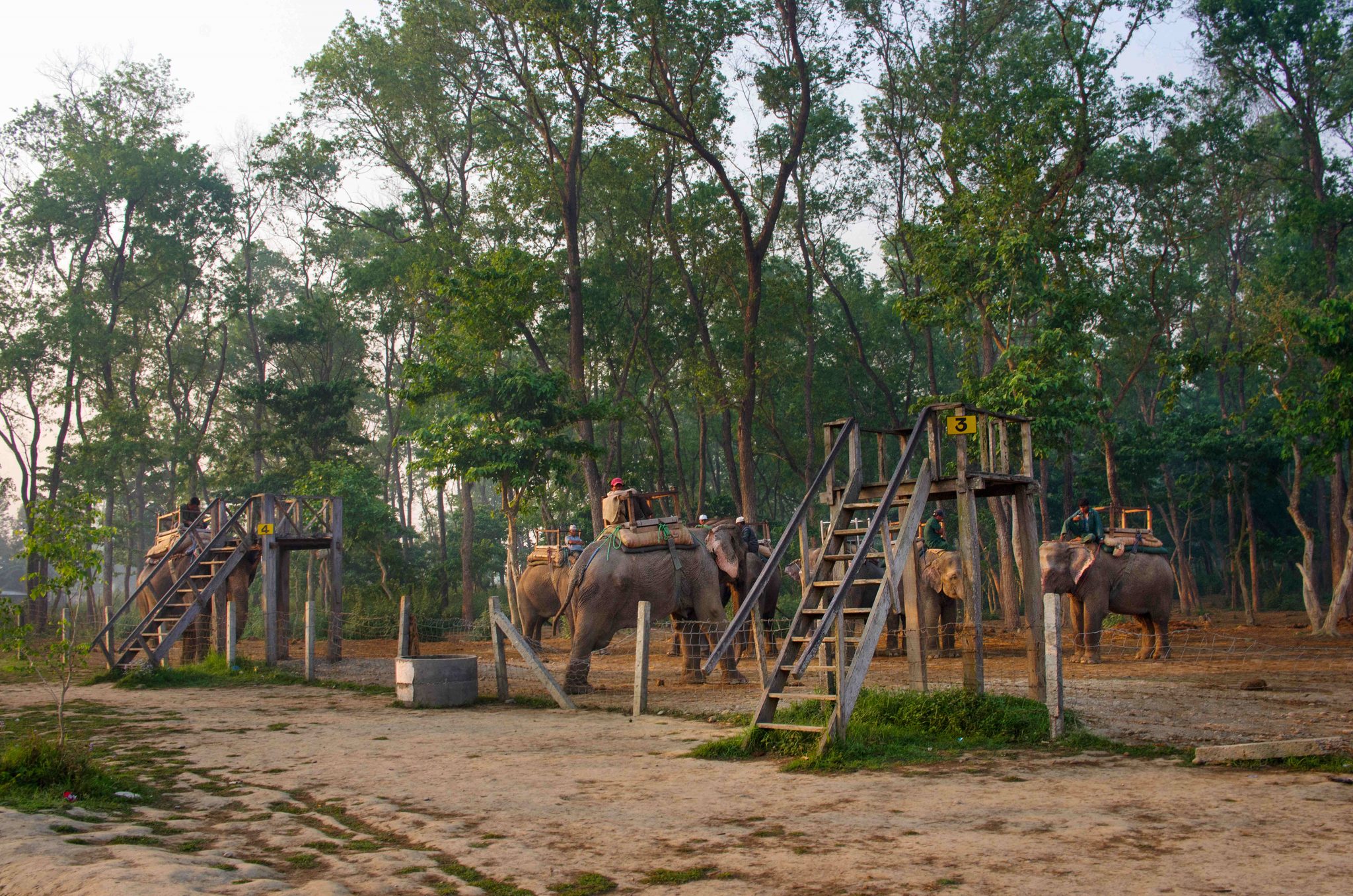 Elephant Breeding Center